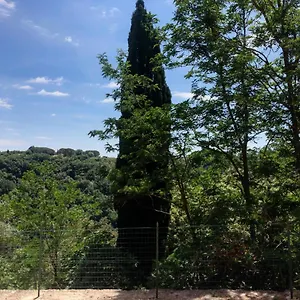  Apartamento La Casa All'oliveto Italia